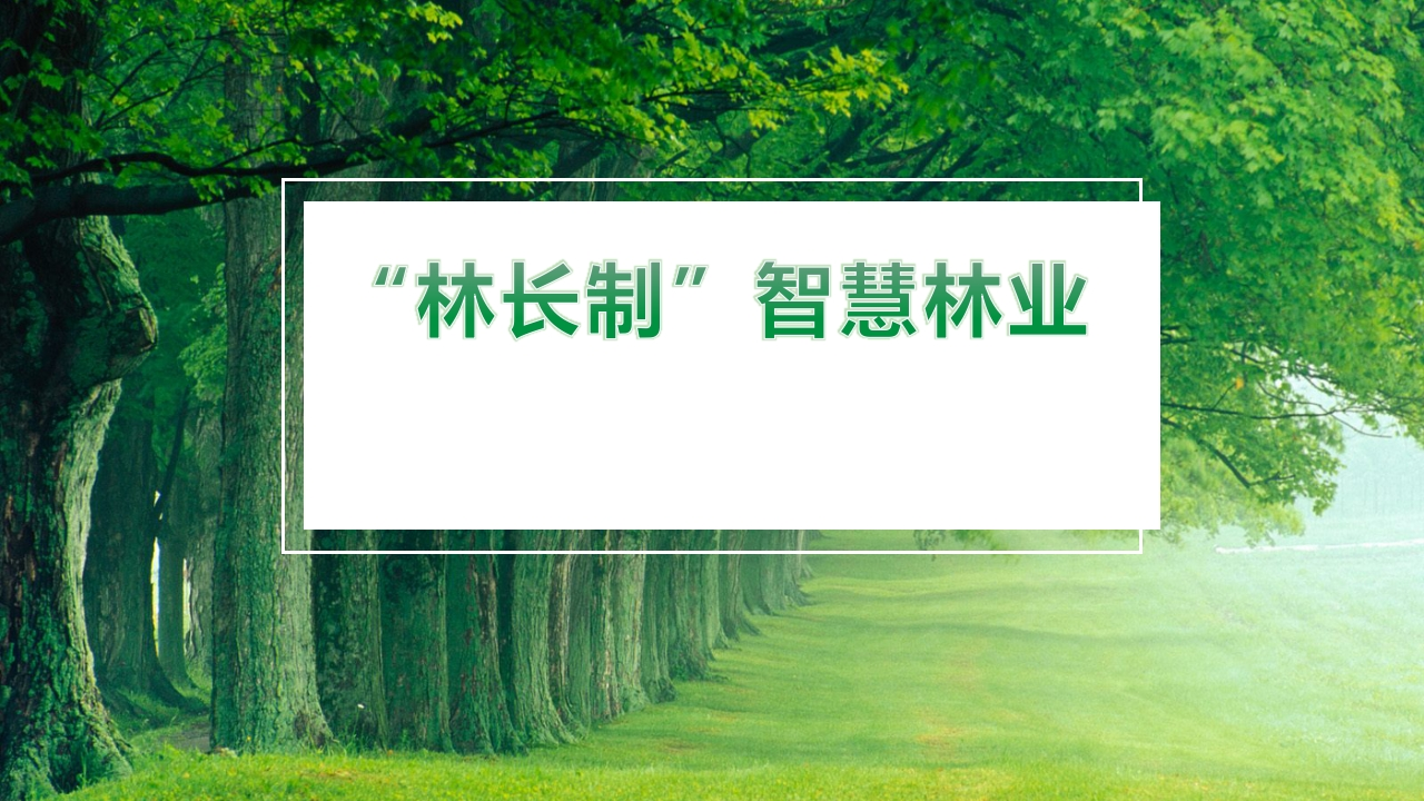优-智慧林业平台建设方案[54页PPT]